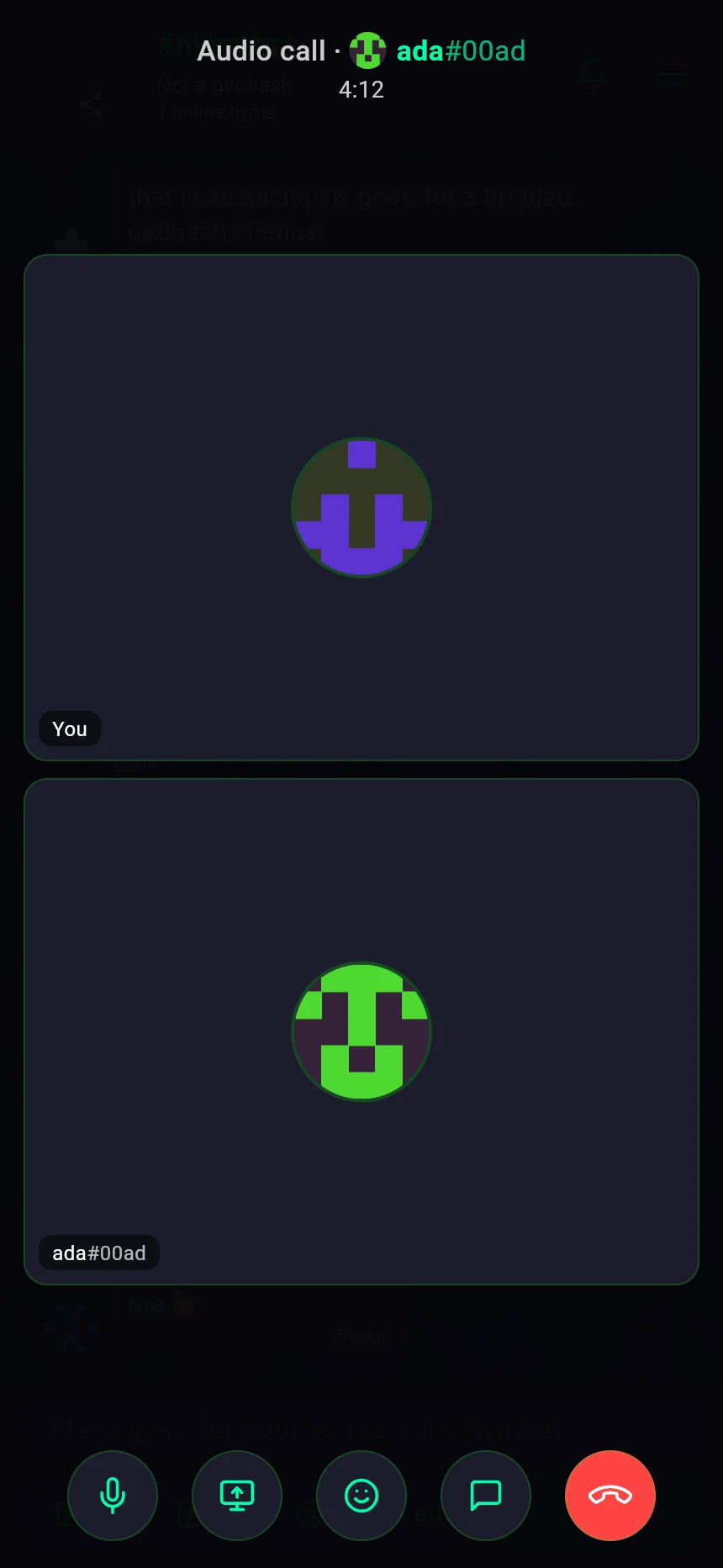 A one-to-one audio call in progress in Nymchat, showing both participants and the mute, screen-share, reaction, chat and hang-up controls.